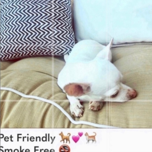 FLORAL Crop Top NWOT - Picture 7 of 7